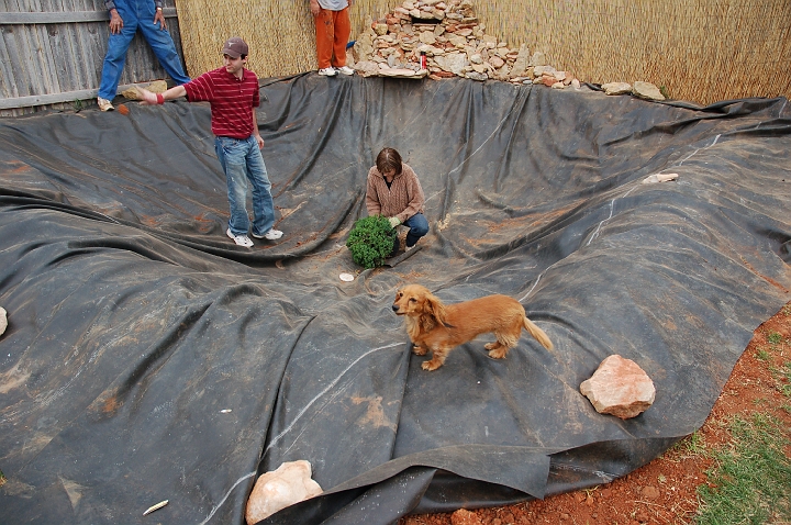 Getting ready to plant the bonsai.jpg